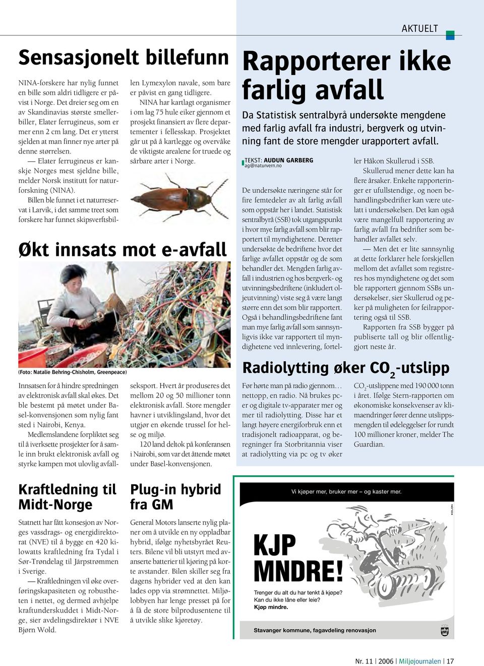 Elater ferrugineus er kanskje Norges mest sjeldne bille, melder Norsk institutt for naturforskning (NINA).