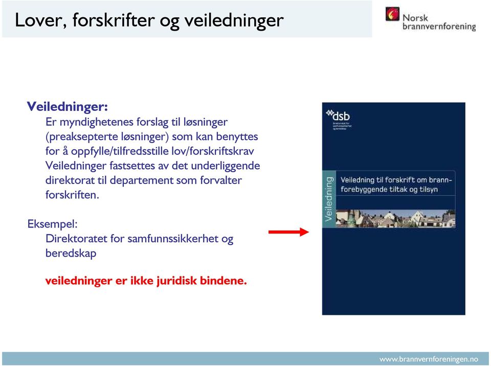 Veiledninger fastsettes av det underliggende direktorat til departement som forvalter