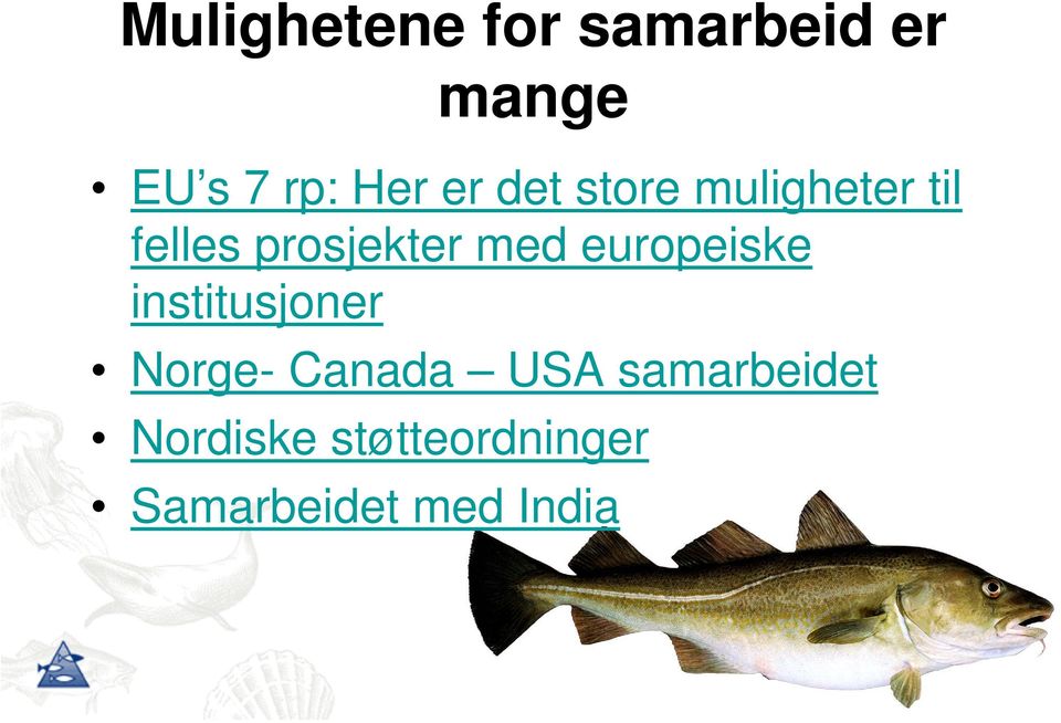 europeiske institusjoner Norge- Canada USA