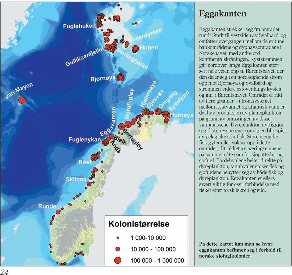 Kyststrømmen går nordover langs Eggakanten stort sett hele veien opp til Barentshavet, der den deler seg i en nordadgående strøm opp mot Bjørnøya og Svalbard og strømmen videre østover langs kysten