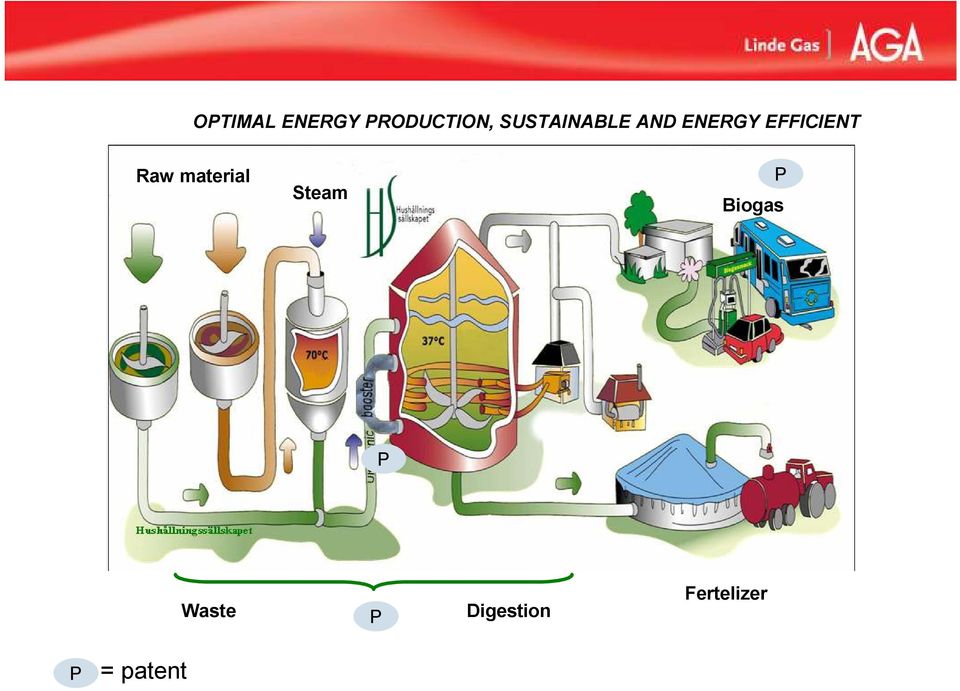 Raw material Steam P Biogas P P P