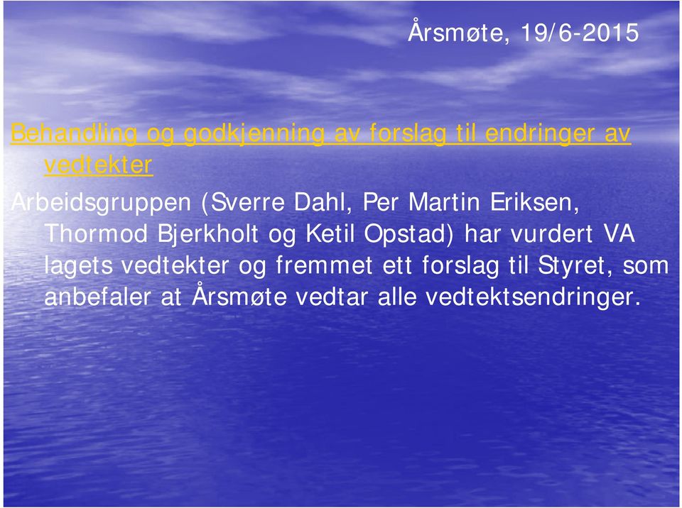 Bjerkholt og Ketil Opstad) har vurdert VA lagets vedtekter og fremmet