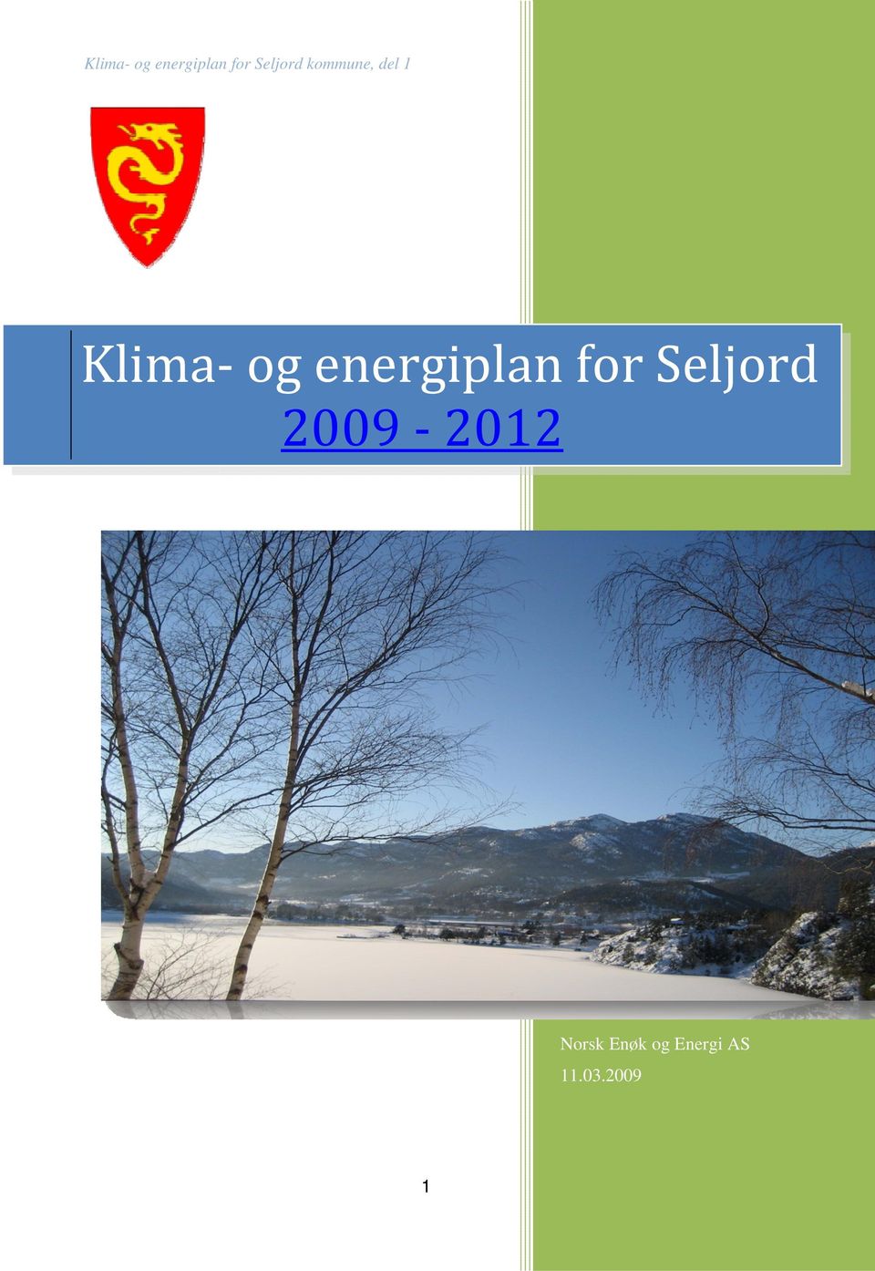 energiplan for Seljord 2009