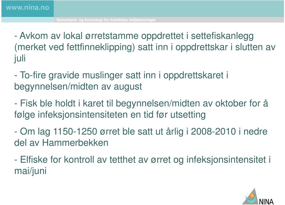 karet til begynnelsen/midten av oktober for å følge infeksjonsintensiteten en tid før utsetting - Om lag 115-125 ørret