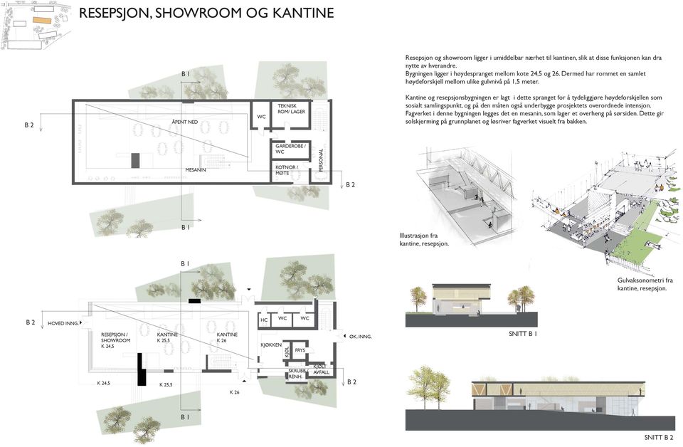 B 2 ÅPENT NED WC TEKNISK ROM/ LAGER Kantine og resepsjonsbygningen er lagt i dette spranget for å tydeliggjøre høydeforskjellen som sosialt samlingspunkt, og på den måten også underbygge prosjektets