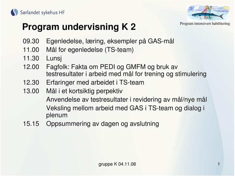 30 Erfaringer med arbeidet i TS-team 13.