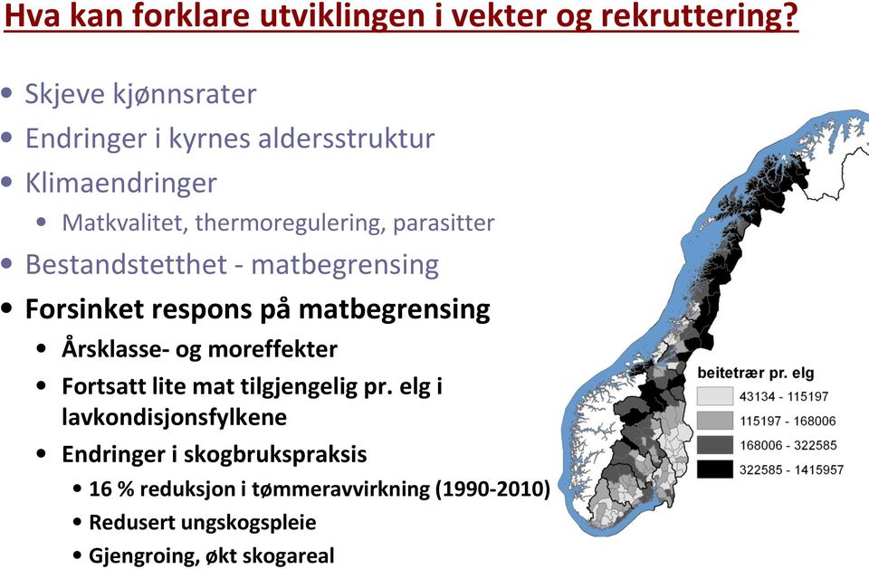 Bestandstetthet - matbegrensing Forsinket respons på matbegrensing Årsklasse- og moreffekter Fortsatt lite mat