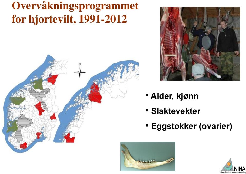 1991-2012 Alder, kjønn