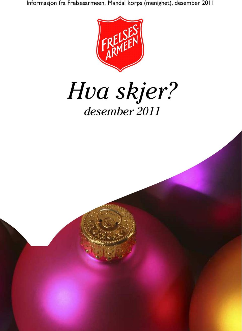 2011 Hva skjer?