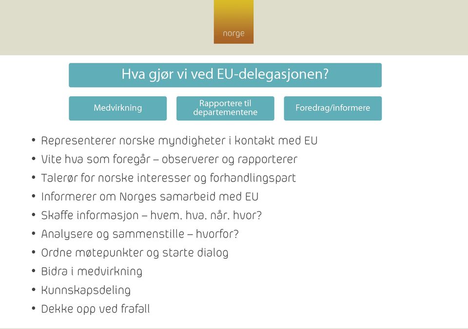 Vite hva som foregår observerer og rapporterer Talerør for norske interesser og forhandlingspart Informerer om