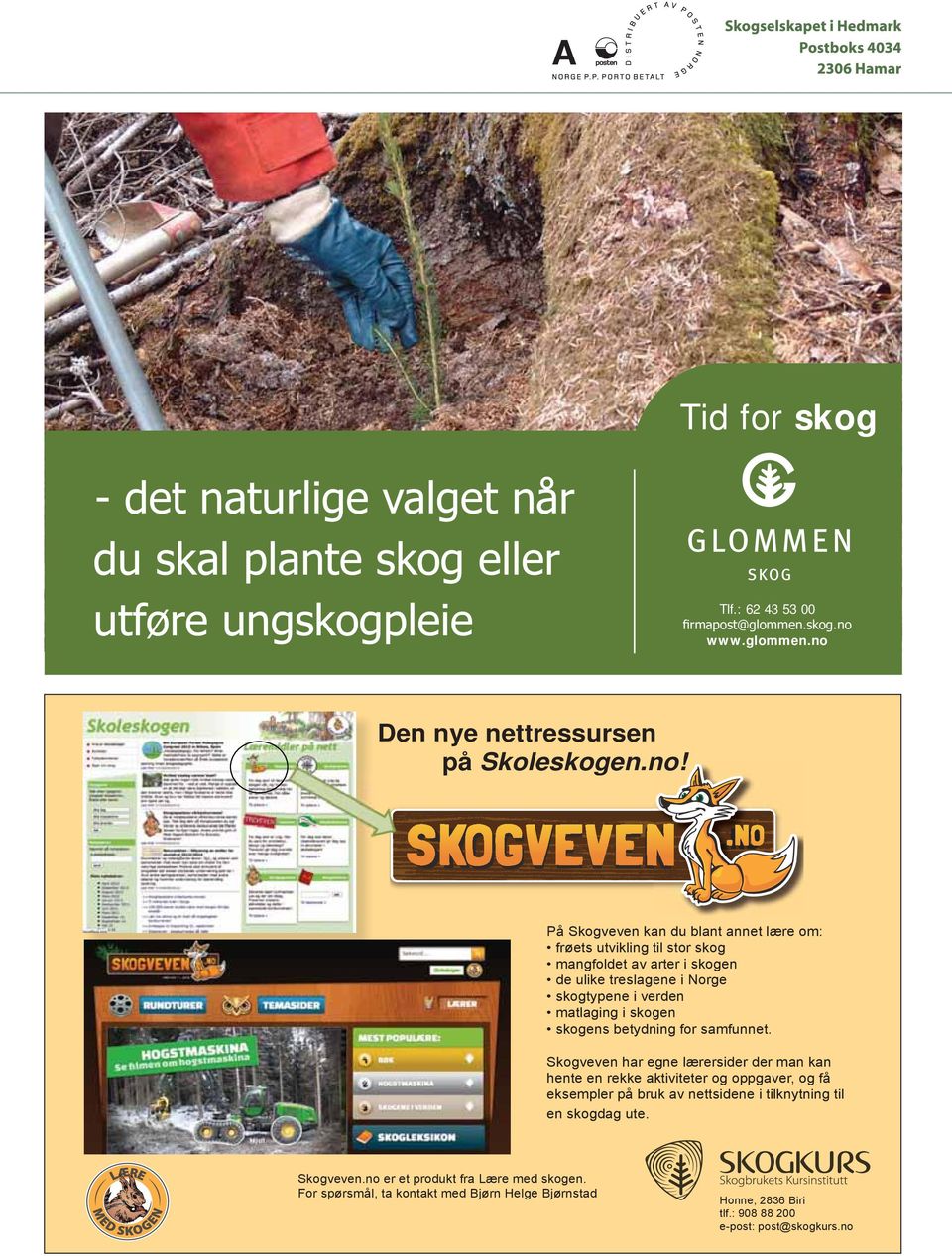 På Skogveven kan du blant annet lære om: frøets utvikling til stor skog mangfoldet av arter i skogen de ulike treslagene i Norge skogtypene i verden
