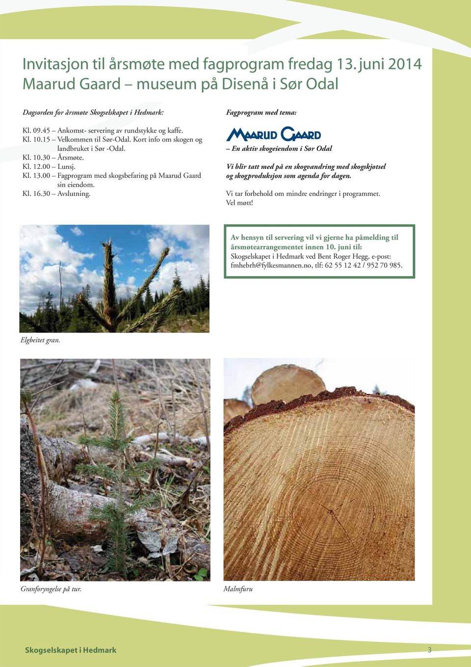 30 Avslutning. Fagprogram med tema: En aktiv skogeiendom i Sør Odal Vi blir tatt med på en skogvandring med skogskjøtsel og skogproduksjon som agenda for dagen.