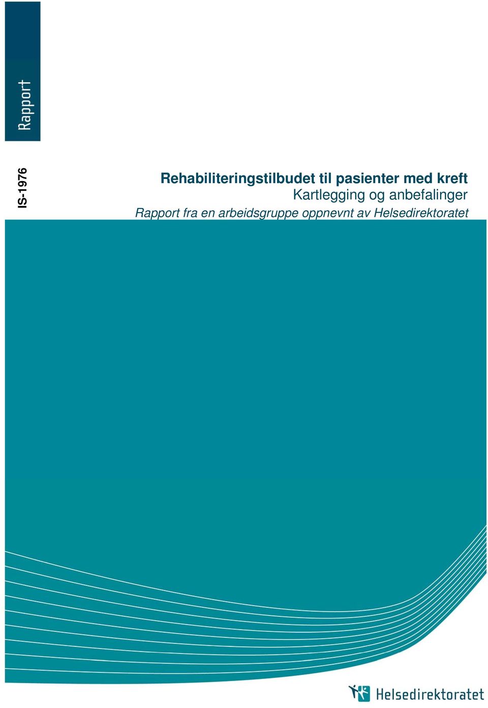 anbefalinger Rapport fra en