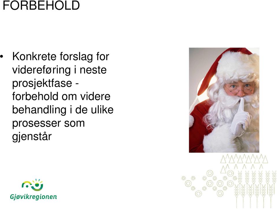 prosjektfase - forbehold om