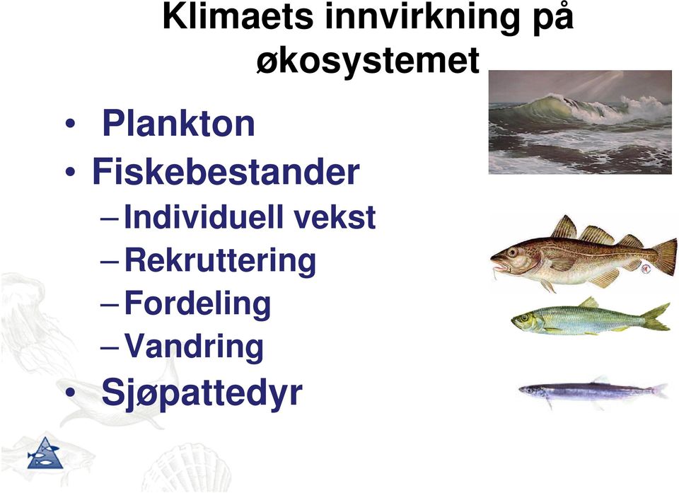 økosystemet Individuell vekst