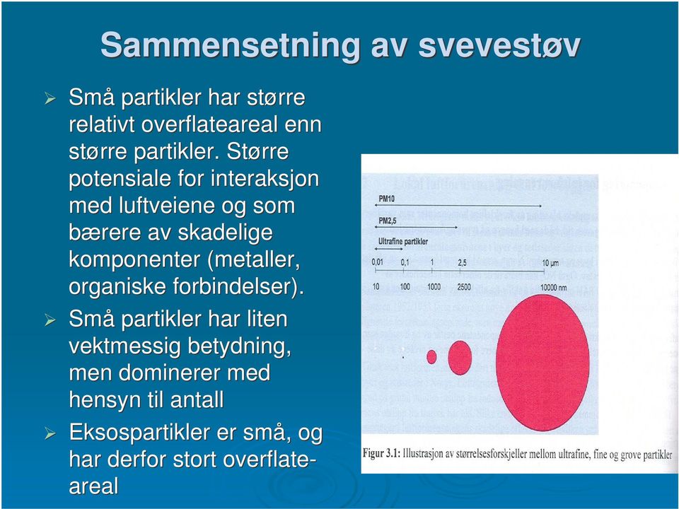 Større potensiale for interaksjon med luftveiene og som bærere av skadelige komponenter