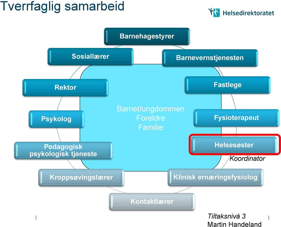 Barnet/ungdommen Foreldre Familie Fysioterapeut Helsesøster Koordinator