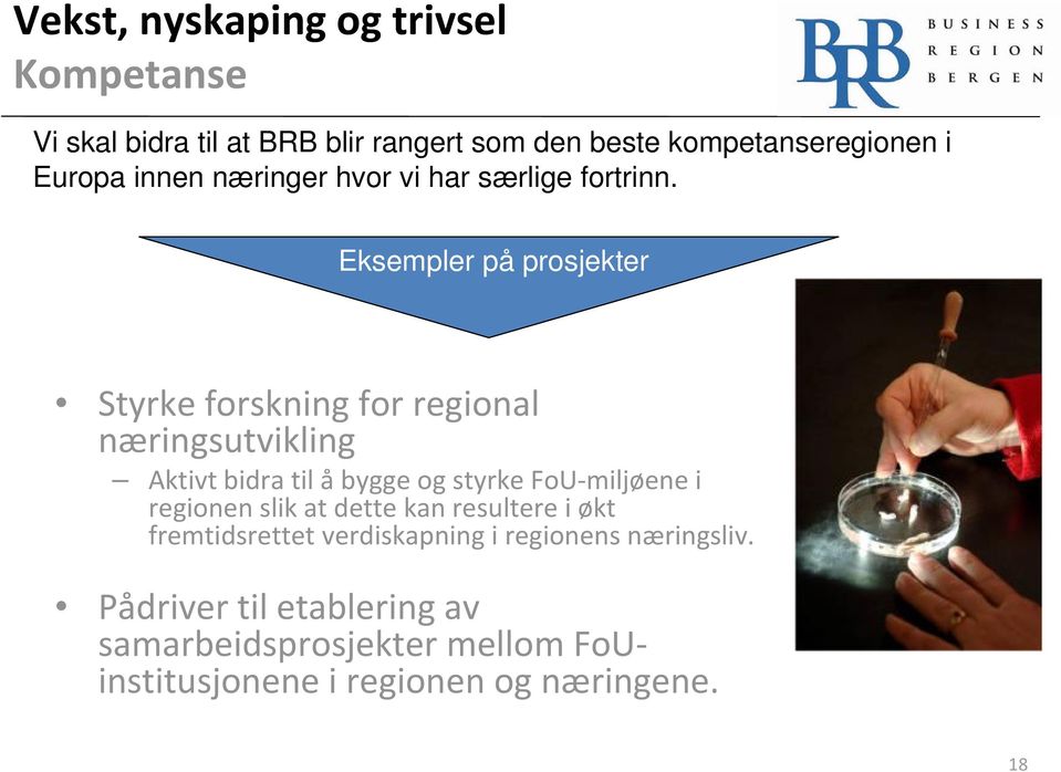 Eksempler på prosjekter Styrke forskning for regional næringsutvikling Aktivt bidra til åbygge og styrke FoU miljøene i