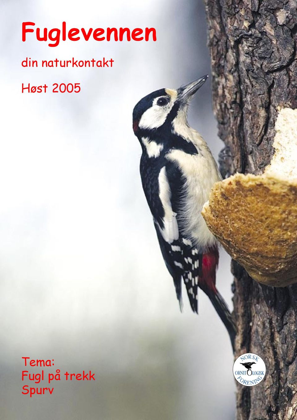 Fuglevennen. din naturkontakt. Høst Tema: Fugl på trekk Spurv - PDF Gratis  nedlasting