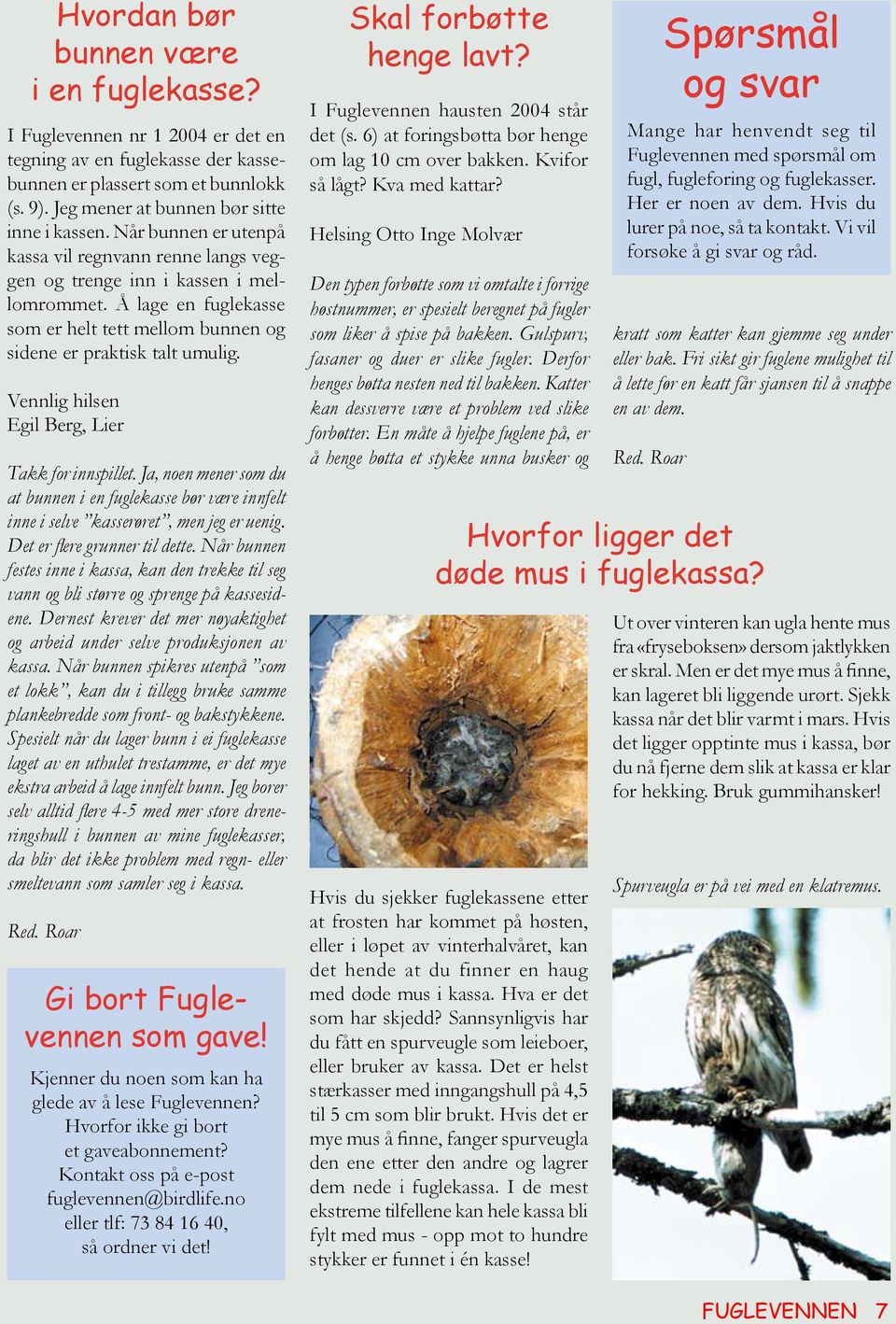 Fuglevennen. din naturkontakt. Høst Tema: Fugl på trekk Spurv - PDF Gratis  nedlasting