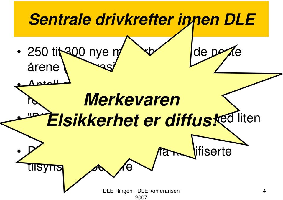 Merkevaren DLE Elsikkerhet faget fremstår er som diffus!