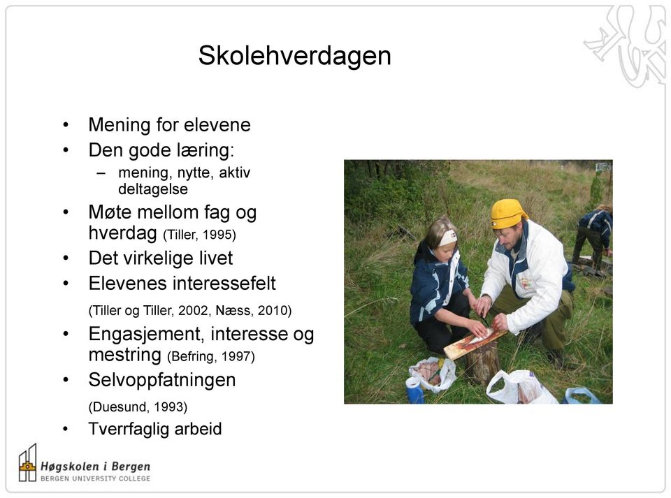Elevenes interessefelt (Tiller og Tiller, 2002, Næss, 2010) Engasjement,