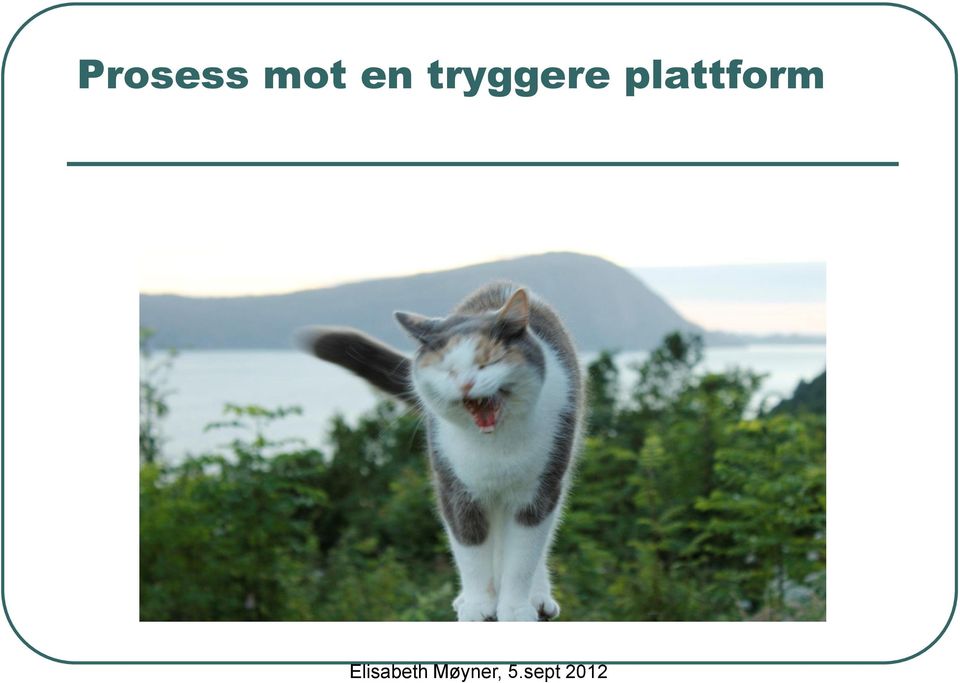 tryggere