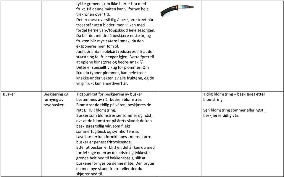 Da blir det mindre å beskjære neste år, og frukten blir mye søtere i smak, da den eksponeres mer for sol. Juni bør antall eplekart reduseres slik at de største og feilfri henger igjen.