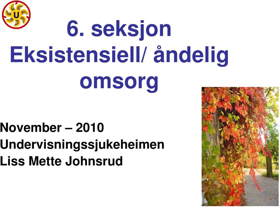 omsorg November 2010