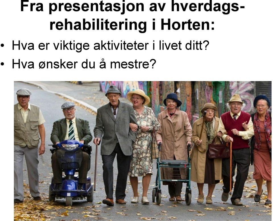 Horten: Hva er viktige