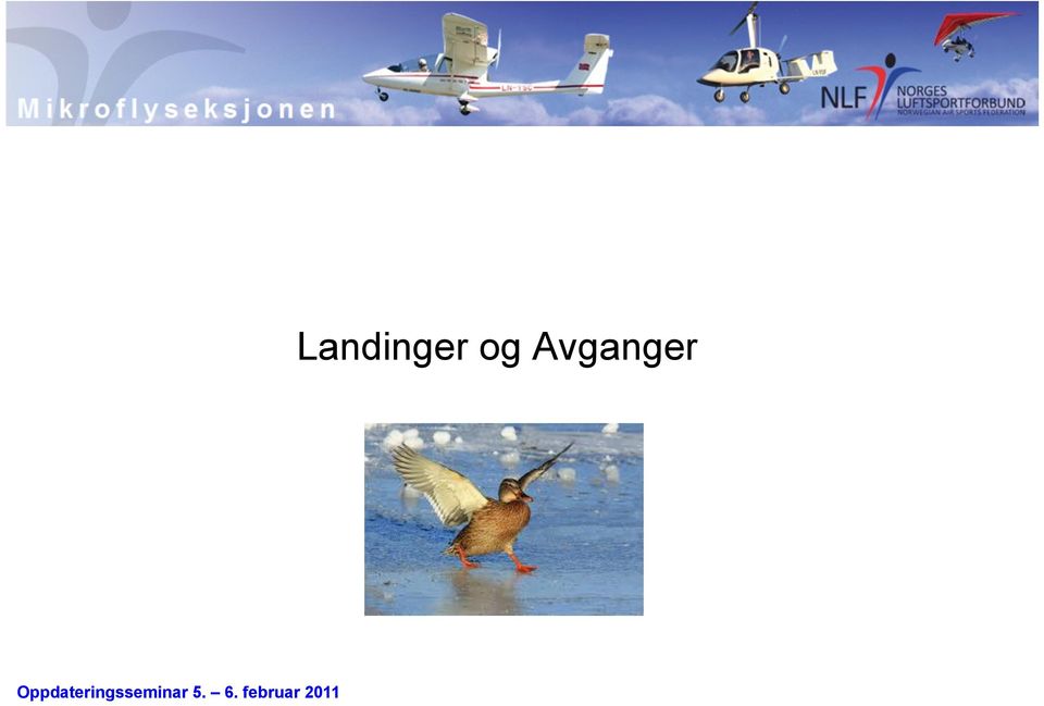 Avganger