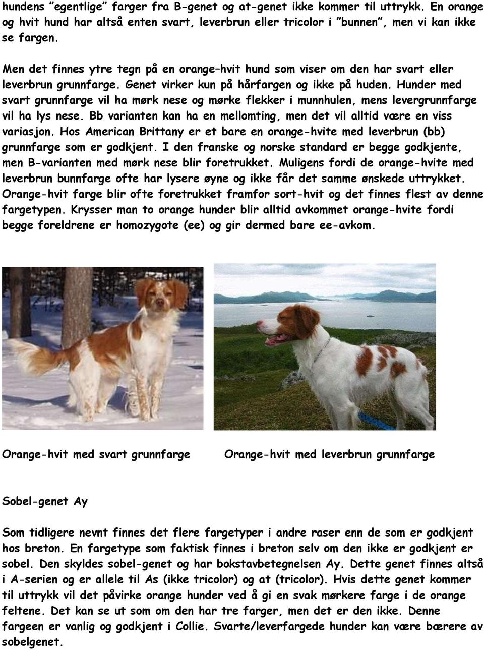 Farger og nedarving av fargetyper hos breton - PDF Free Download