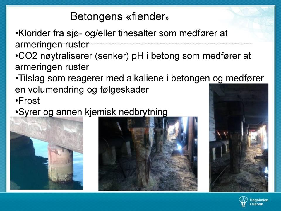 armeringen ruster Tilslag som reagerer med alkaliene i betongen og