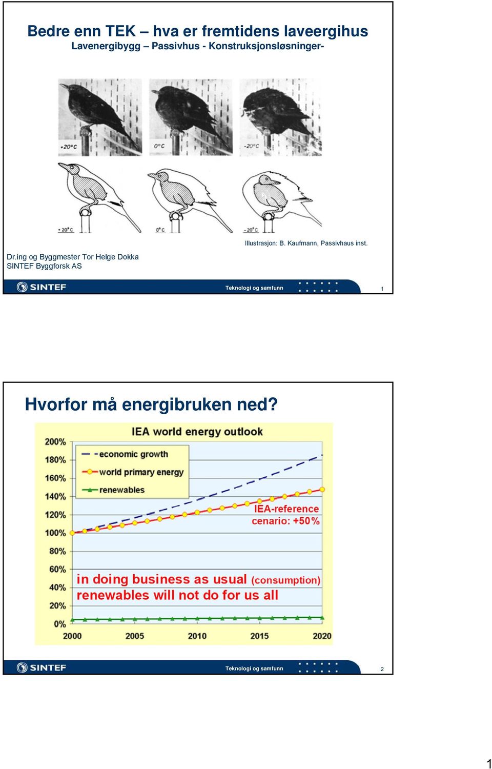 ing og Byggmester Tor Helge Dokka SINTEF Byggforsk AS