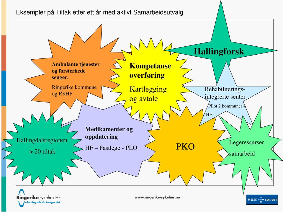 Ringerike kommune og RSHF Kompetanse overføring Kartlegging og avtale Hallingforsk