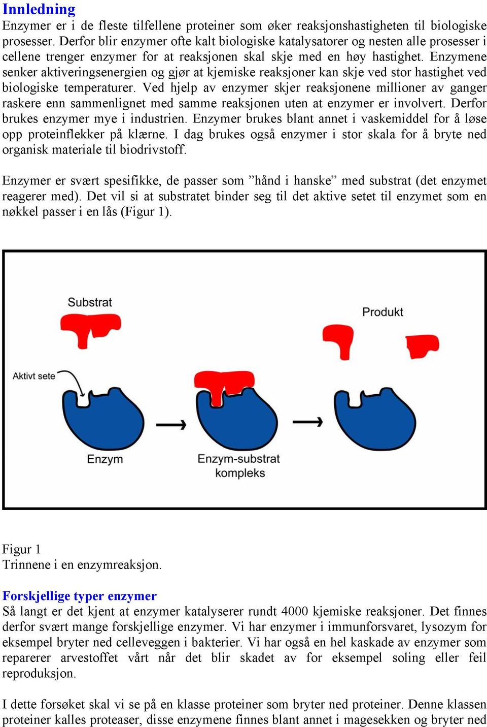 Enzymene senker aktiveringsenergien og gjør at kjemiske reaksjoner kan skje ved stor hastighet ved biologiske temperaturer.