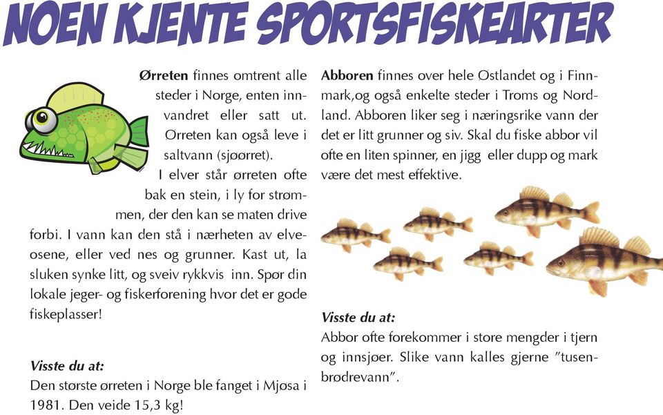 Kast ut, la sluken synke litt, og sveiv rykkvis inn. Spør din lokale jeger- og fiskerforening hvor det er gode fiskeplasser! Visste du at: Den største ørreten i Norge ble fanget i Mjøsa i 1981.