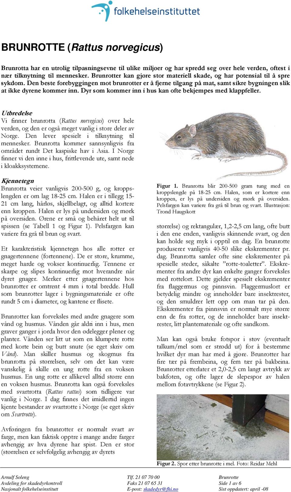 Dyr som kommer inn i hus kan ofte bekjempes med klappfeller. Utbredelse Vi finner brunrotta (Rattus norvegicus) over hele verden, og den er også meget vanlig i store deler av Norge.