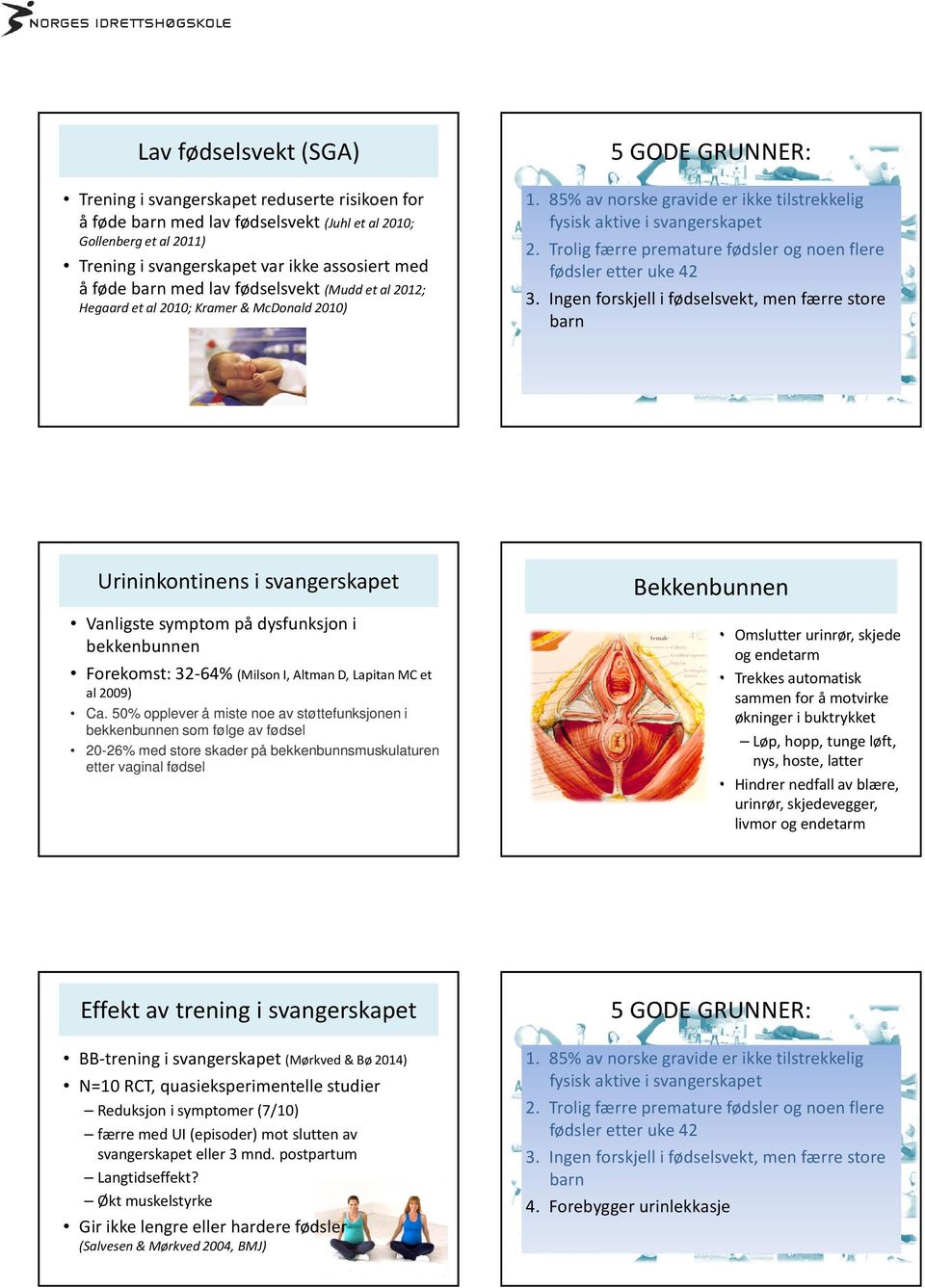 Ingen forskjellifødselsvekt, men færrestore barn Urininkontinens i svangerskapet Vanligste symptom på dysfunksjon i bekkenbunnen Forekomst: 32-64% (Milson I, Altman D, Lapitan MC et al 2009) Ca.