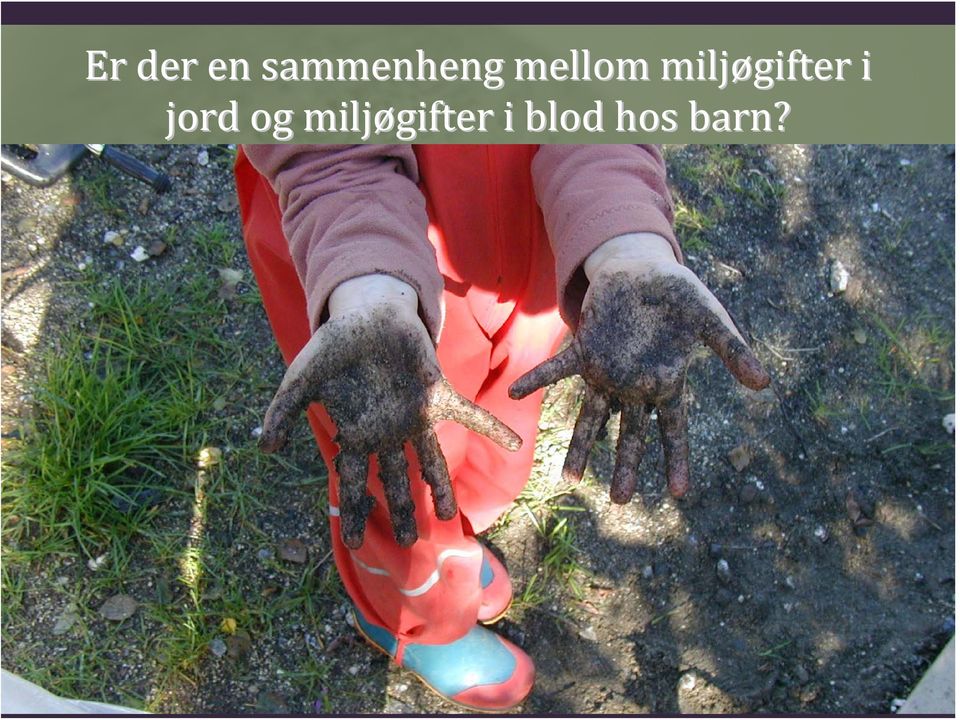 miljøgifter i jord