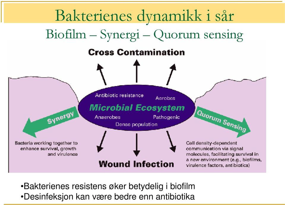 resistens øker betydelig i biofilm