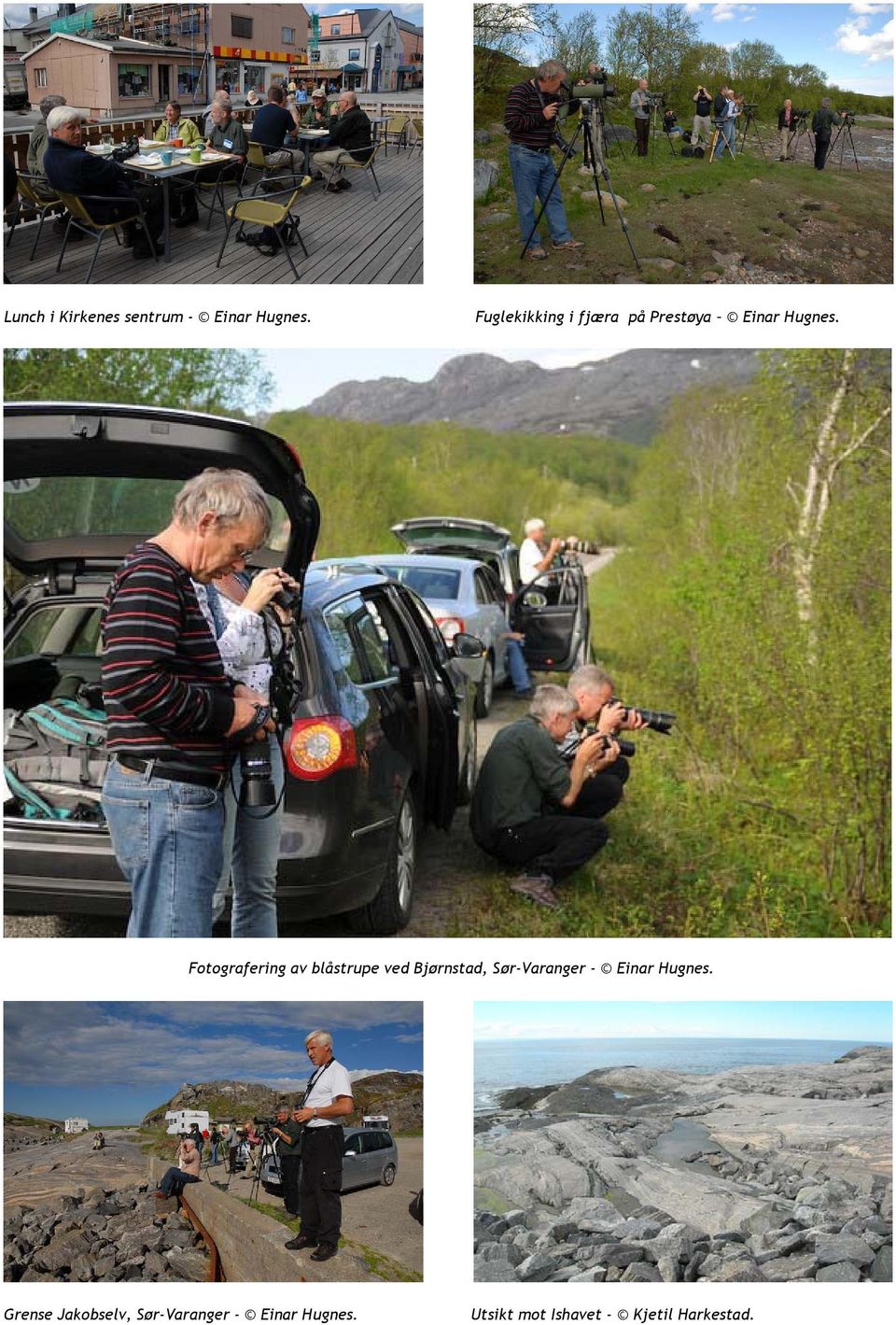 Fotografering av blåstrupe ved Bjørnstad, Sør-Varanger -