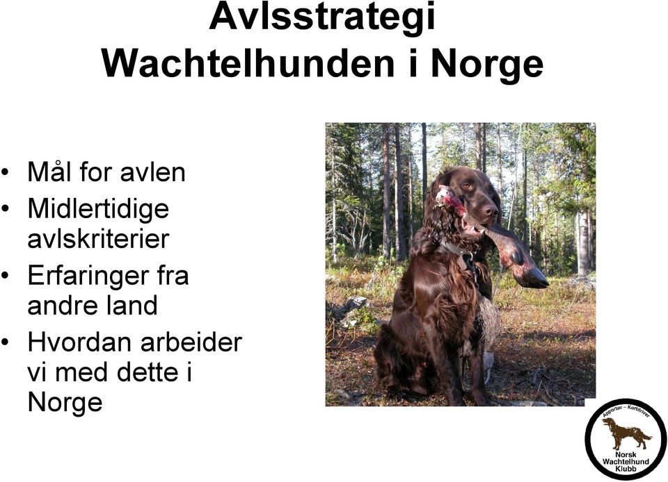 avlskriterier Erfaringer fra andre