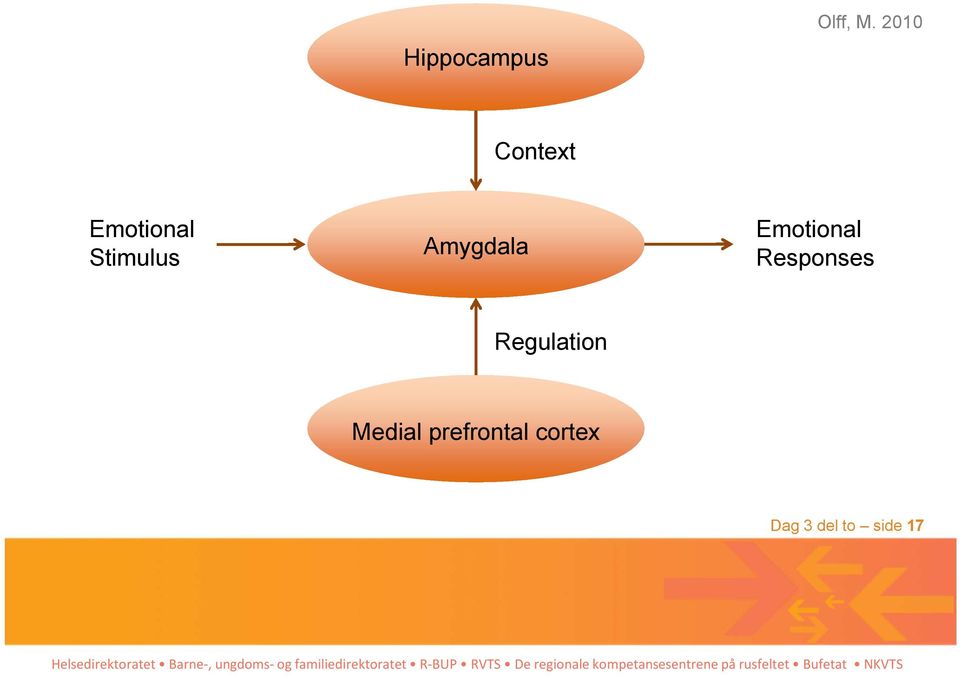 Amygdala Emotional Responses