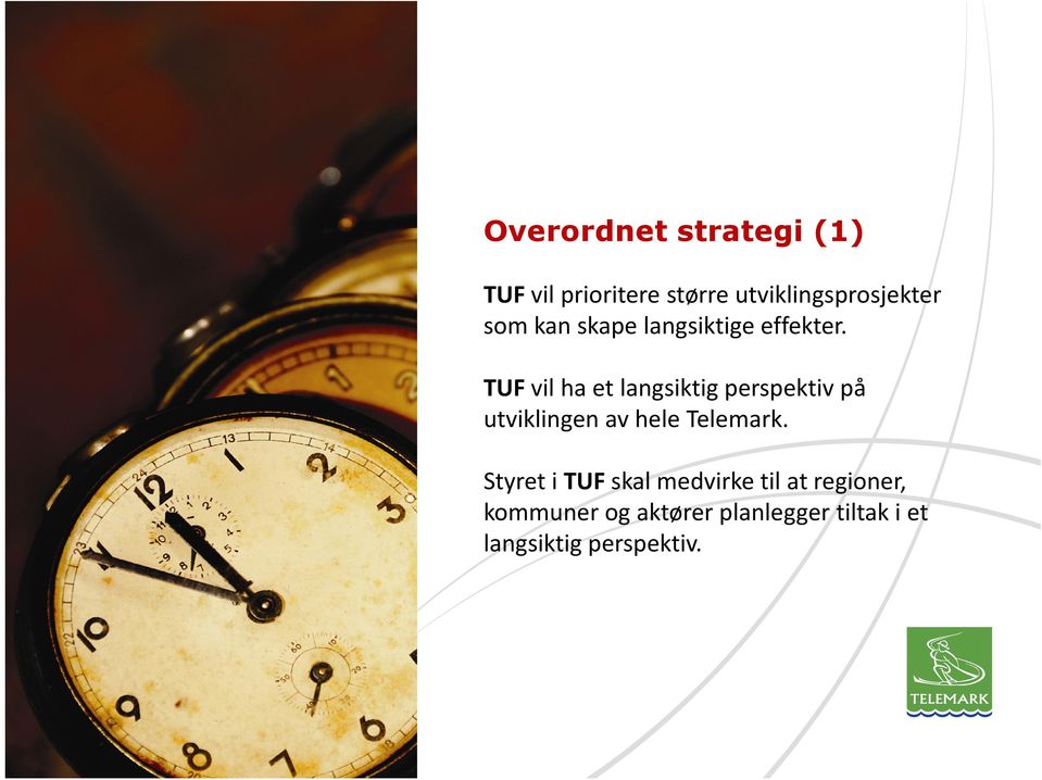 TUF vil ha et langsiktig perspektiv på utviklingen av hele Telemark.