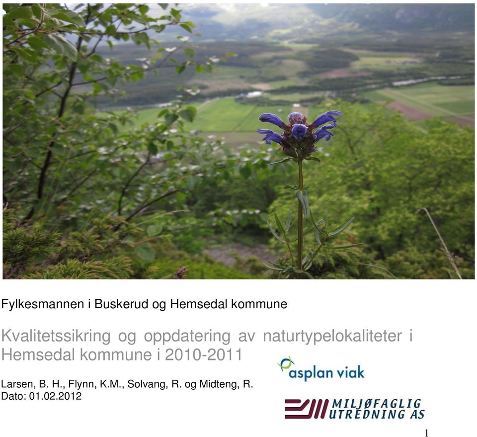 naturtypelokaliteter i Hemsedal kommune i