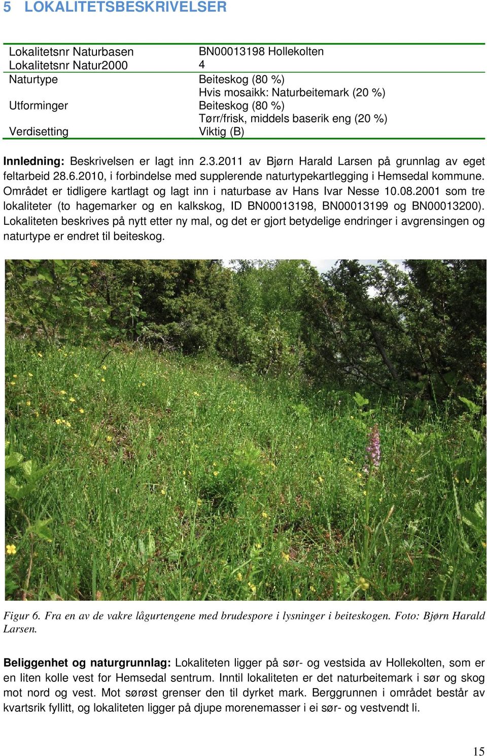 2010, i forbindelse med supplerende naturtypekartlegging i Hemsedal kommune. Området er tidligere kartlagt og lagt inn i naturbase av Hans Ivar Nesse 10.08.