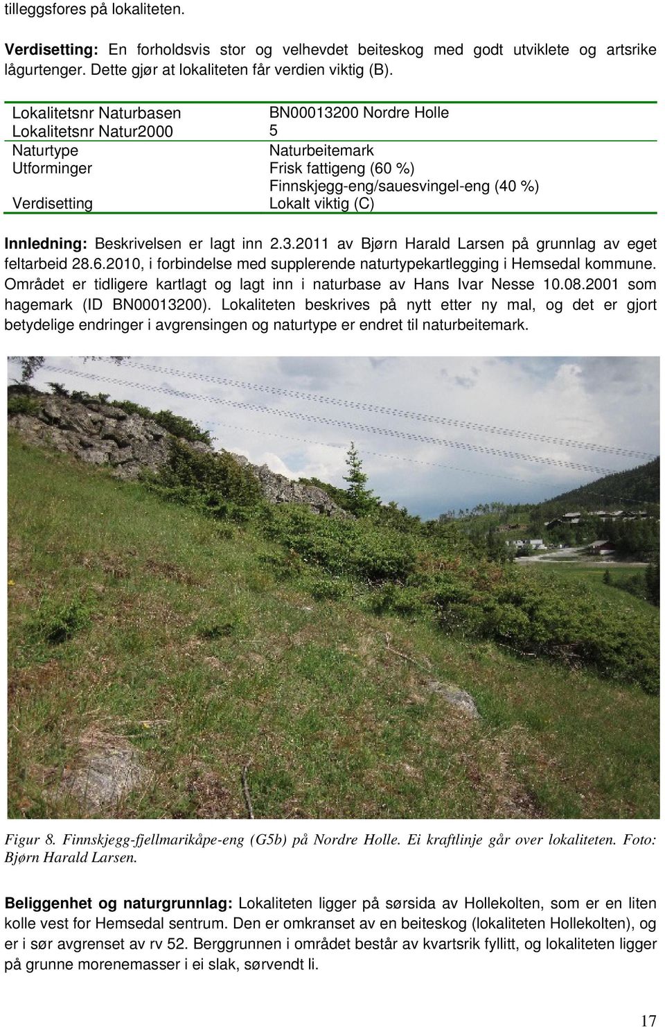 (C) Innledning: Beskrivelsen er lagt inn 2.3.2011 av Bjørn Harald Larsen på grunnlag av eget feltarbeid 28.6.2010, i forbindelse med supplerende naturtypekartlegging i Hemsedal kommune.