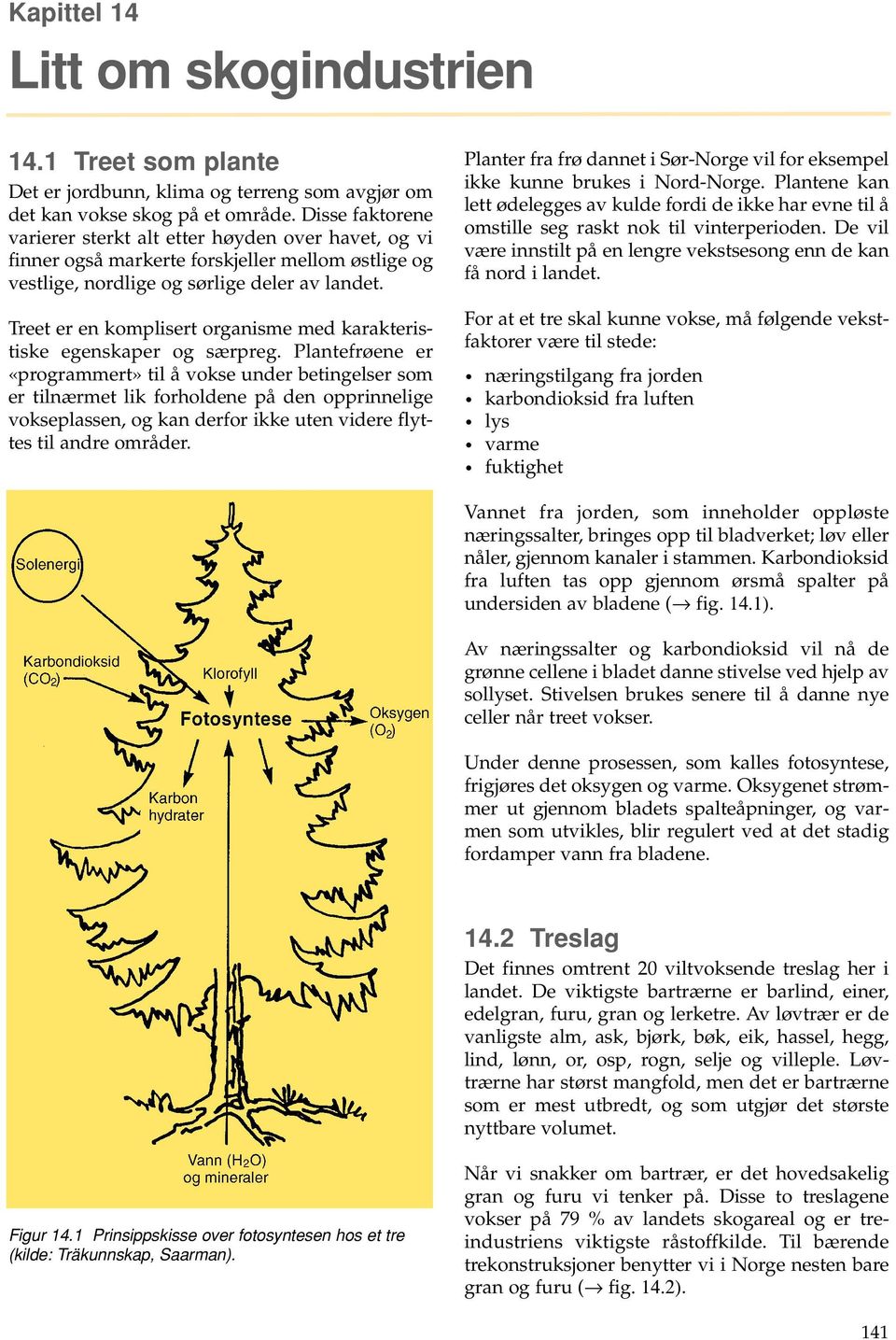 Treet er en komplisert organisme med karakteristiske egenskaper og særpreg.