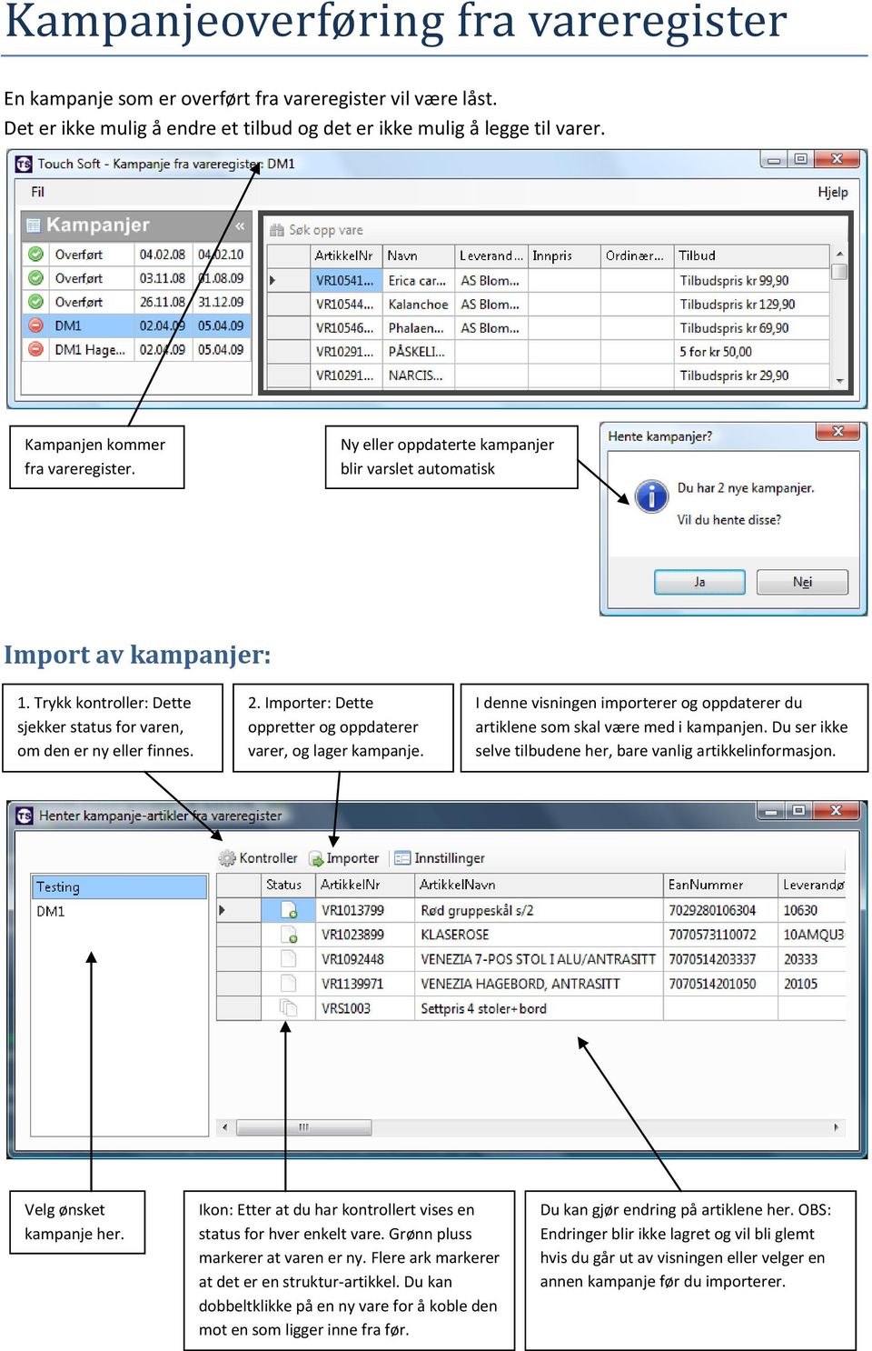Importer: Dette oppretter og oppdaterer varer, og lager kampanje. I denne visningen importerer og oppdaterer du artiklene som skal være med i kampanjen.